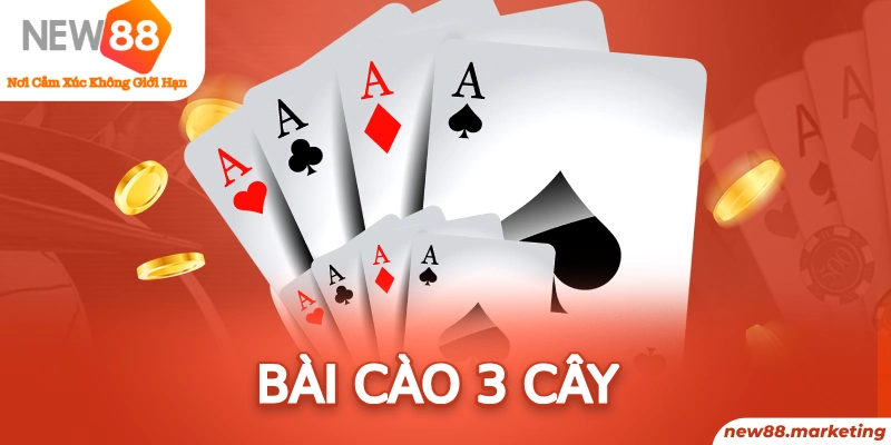 k8cc long bảo trong baccarat là gì