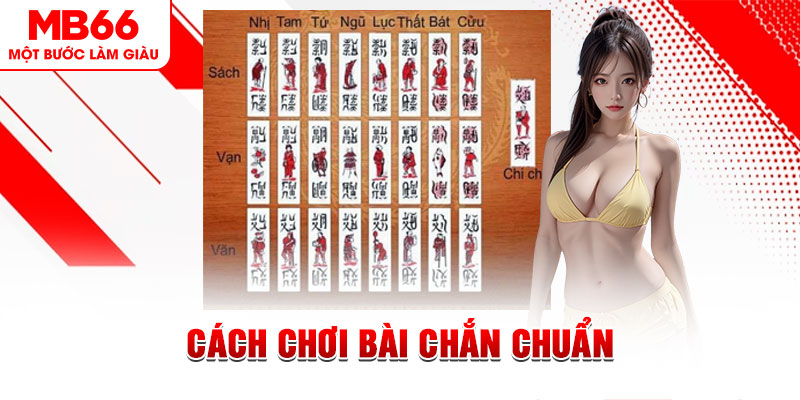 k8cc gà chọi cậu thanh