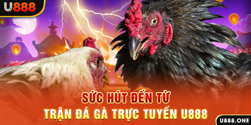 k8cc đá gà trực tiếp c1