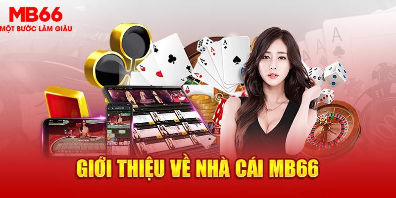 k8cc EVO Trực Tuyến