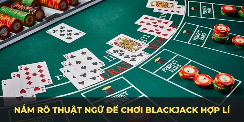 k8cc c1 gà chọi