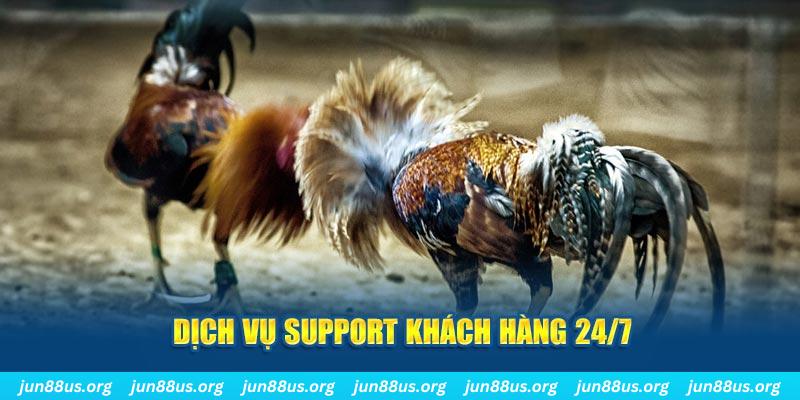 k8cc ÁT CHỦ BÀI GIÀNH LẤY ZHUANG NIUNIU ( XEM 4 LÁ )
