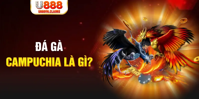 k8cc bắn cá vàng h5