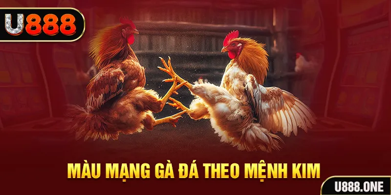 k8cc Cỡ bảy