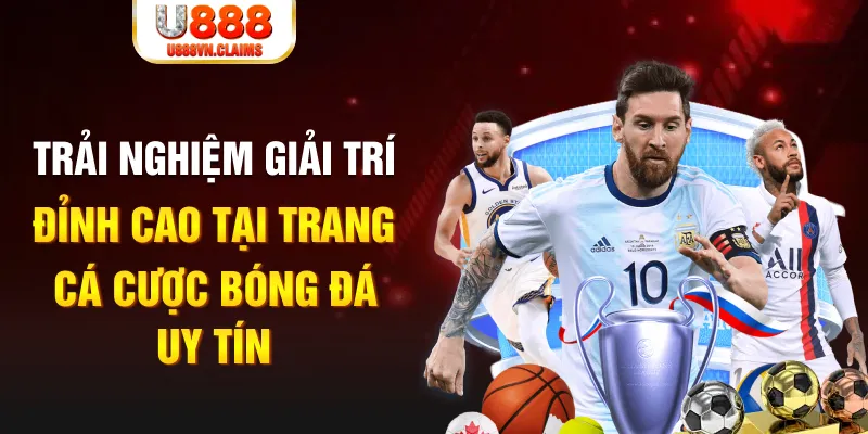 k8cc gà chọi hoà phong