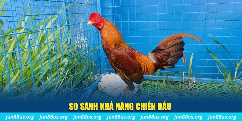 k8cc CQ9 Điện Tử