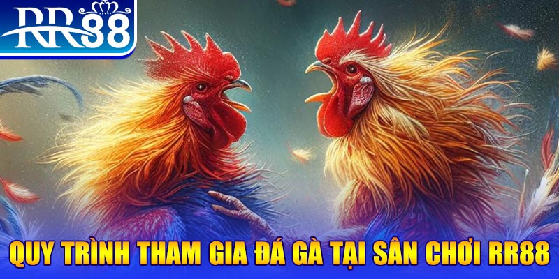 k8cc đá gà cam 67