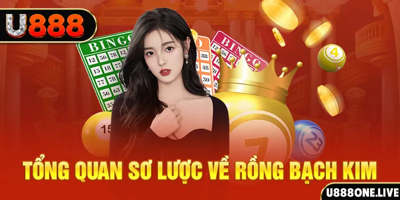 k8cc hũ 8 bit nổ như thế nào
