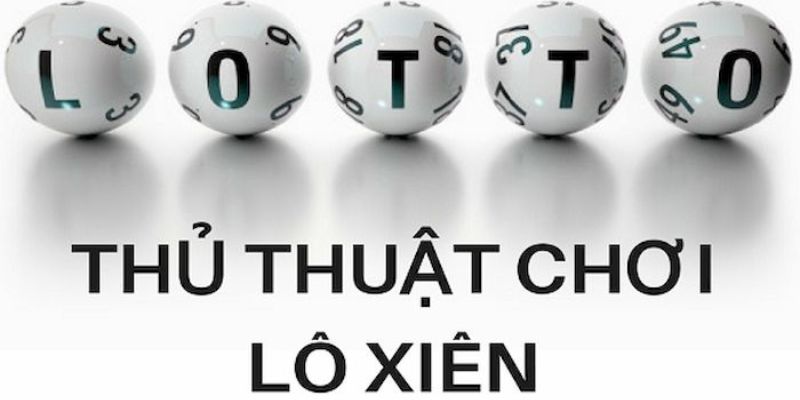 k8cc trực tiếp đá gà thomo