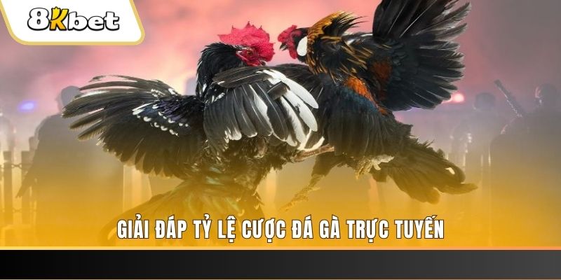 k8cc xổ số đài miền trung