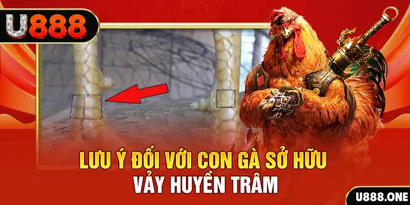 k8cc kết quả xổ số miền nam hôm nay