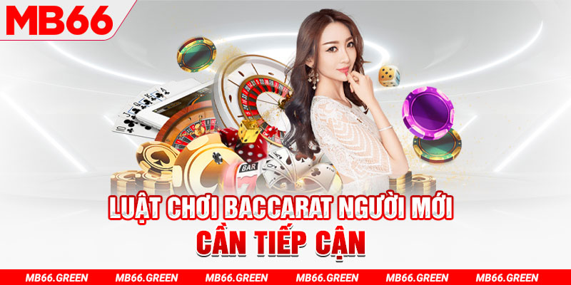 k8cc choi ga c1