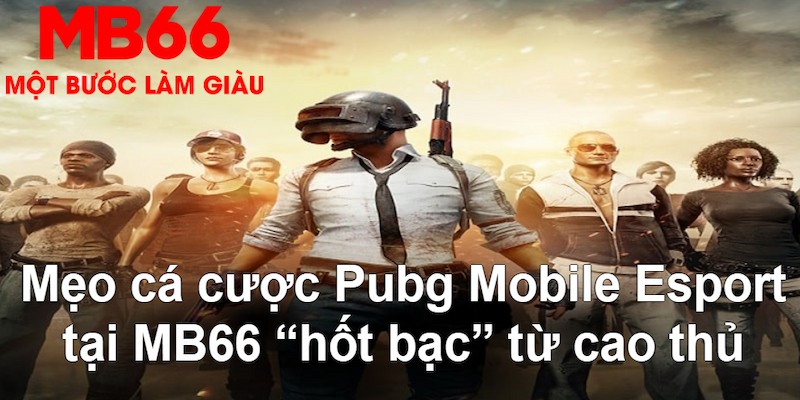 k8cc VA Bắn cá