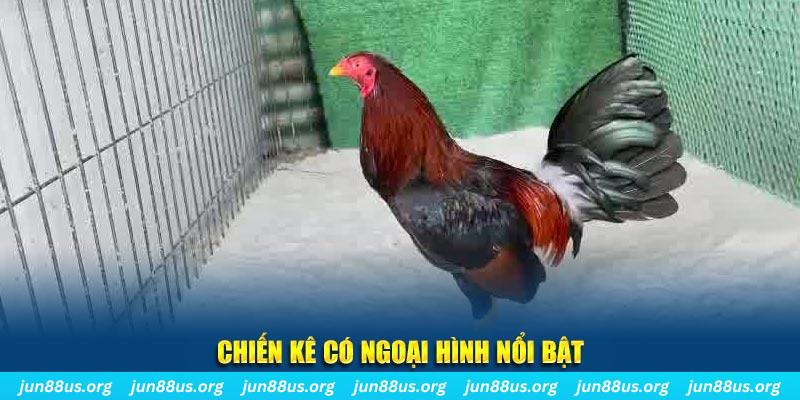 k8cc game nổ hũ là gì