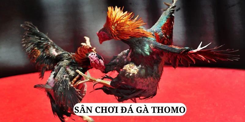 k8cc trực tiếp xổ số miền bắc